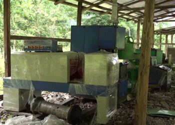 Castor oil manufacturing plant set-up waiting for an expert- Zhemgang