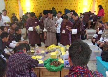 A kilogram of cordyceps from Lunana fetches Nu 2.851 M