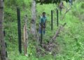 Electric fencing wooden posts replaced by plastic posts for better durability- Tsirang
