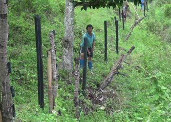 Electric fencing wooden posts replaced by plastic posts for better durability- Tsirang
