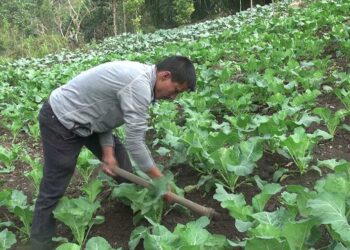 From nothing to everything and more- A farmer’s story