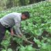 From nothing to everything and more- A farmer’s story