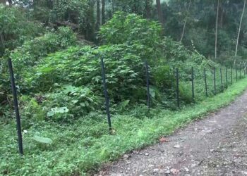 Farmers of Borangmo want electric fencing to ward off wild animals- Pema Gatshel 