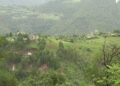 Rehabilitation beneficiaries leading comfortable lives in Khenadrang, Pema Gatshel