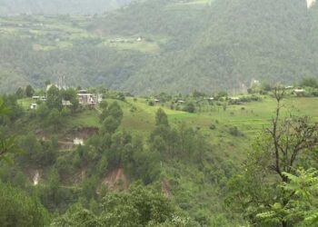 Rehabilitation beneficiaries leading comfortable lives in Khenadrang, Pema Gatshel