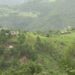 Rehabilitation beneficiaries leading comfortable lives in Khenadrang, Pema Gatshel