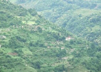 Residents call for public bus service in Korphu Gewog