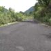 Maintained road leading to Buli Lake benefits visitors- Zhemgang