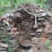 Overexploitation puts pressure on Pema Lingpa’s depleting iron residue