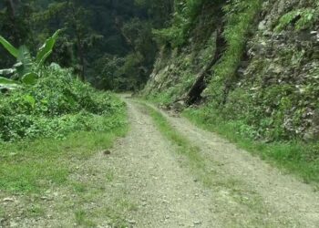 First three farm roads to be blacktopped in Pema Gatshel