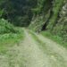 First three farm roads to be blacktopped in Pema Gatshel