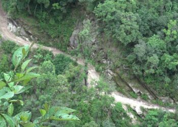 Farm road under-utilised in Yangtse Gewog