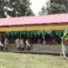 Much-awaited vegetable market shed finally complete in Ugyentse Gewog