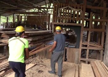 Sawmills back in business- Zhemgang