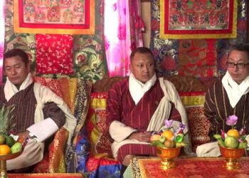 DTT unveils three more candidates from central districts