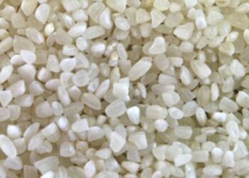 India bans export of broken rice and levies tax on other rice