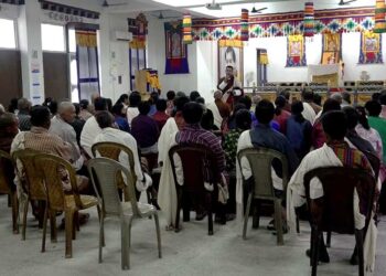 Gelephu Gewog discontinues online land tax payment to reduce elephant menace