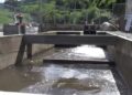 Climate-resilient irrigation system for three gewogs in Punakha