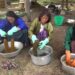 Reviving the culture of natural dyeing