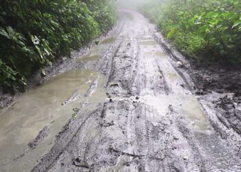 People of Gongdu & Silambi want their road to be tarred