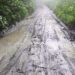 People of Gongdu & Silambi want their road to be tarred