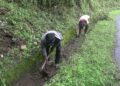 Tsirang Toed Gewog re-employs roadside workers