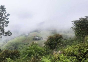 Man in custody for allegedly killing his wife- Trashigang