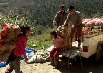 Sephu farmers struggling to get a good price for cabbage