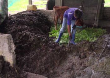 Manufacturing manure for commercial purpose