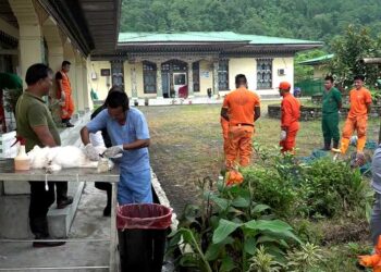 Final phase of dog sterilization in Sarpang