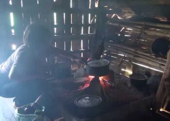 Laishingri farmers want electricity connection to ease burden of rural life