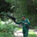 Forester dedicates spare time researching butterflies for over two decades