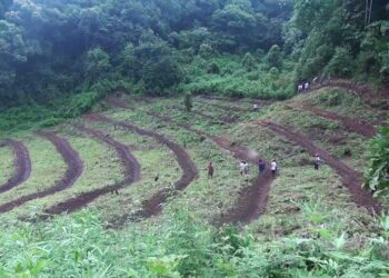 Pedling Lake revival underway in Pema Gatshel