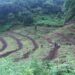 Pedling Lake revival underway in Pema Gatshel