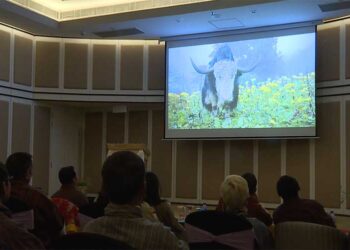 Documenting disappearing cultures