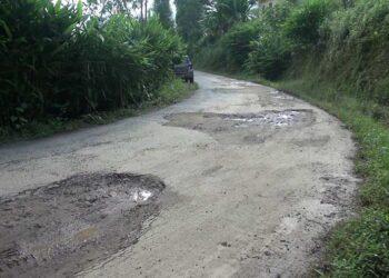 Residents want their farm road repaired in Ranthangling Gewog