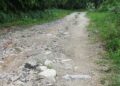 Farm road blacktopping excites residents of Shingchongri – Pema Gatshel