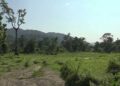 Damaged irrigation channel leaves paddy fields fallow – Samdrup Jongkhar