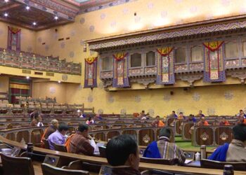 NA proposes designating duty vehicles for all MPs