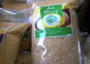 Startup business helps maize growers generate income