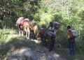 Need for farm road to connect farmland and villages – Lhuentse