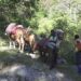 Need for farm road to connect farmland and villages – Lhuentse