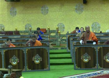 Cut down on unnecessary expenditures to fight inflation- MoEA Minister