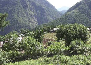 Climate-smart agriculture to overcome impact of climate change- Monggar