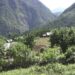 Climate-smart agriculture to overcome impact of climate change- Monggar