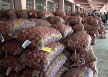 Low potato price at the FCBL auction yard worries farmers