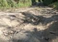 Tshanglajong- Zurphel chiwog farm road in need of maintenance