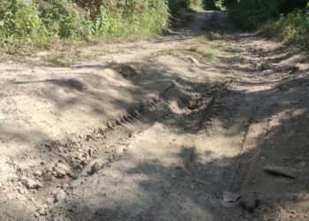 Tshanglajong- Zurphel chiwog farm road in need of maintenance