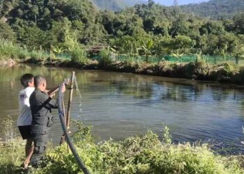 Fish farming becoming a reliable source of income – Zhemgang