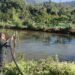 Fish farming becoming a reliable source of income – Zhemgang